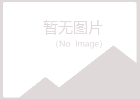 洪江晓夏采矿有限公司